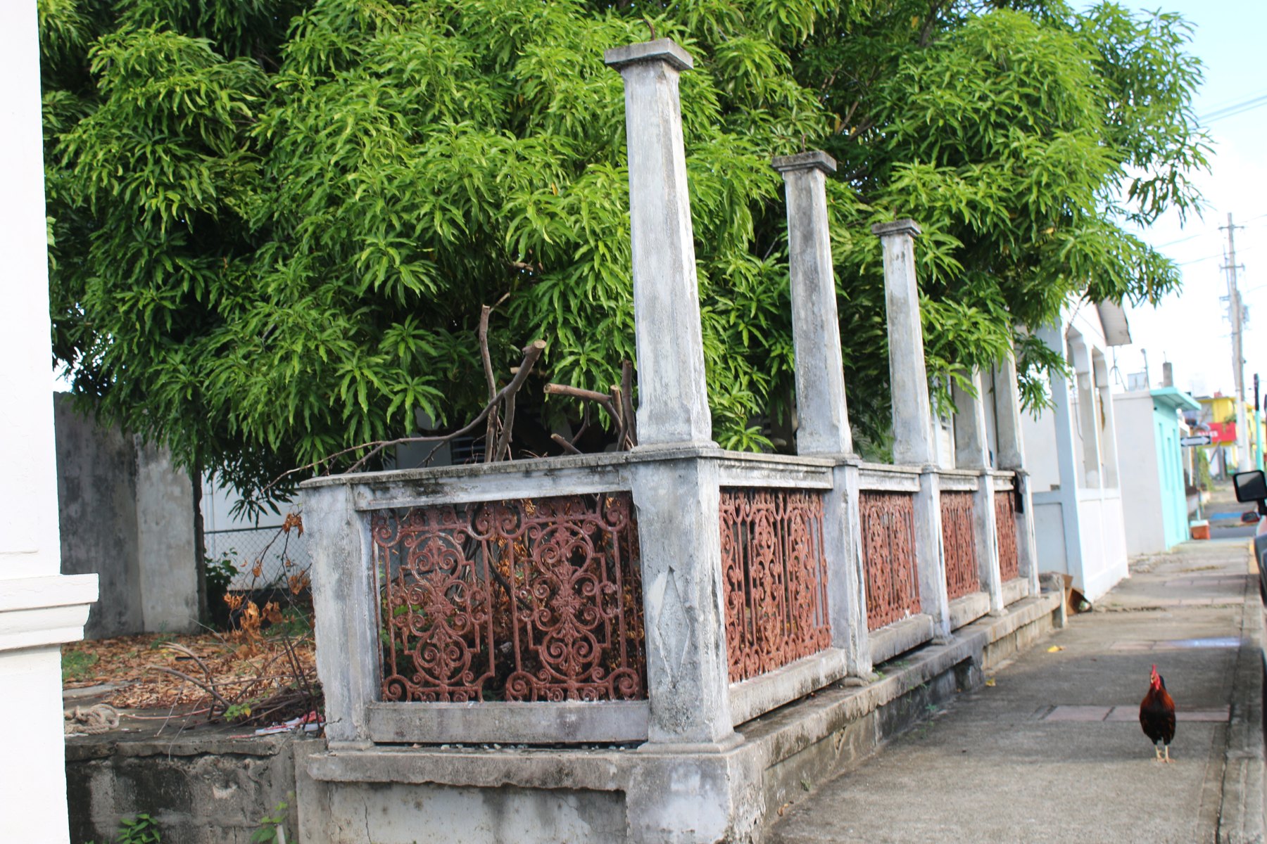 Columnas, rejas y vegetación en una fachada de Vieques.